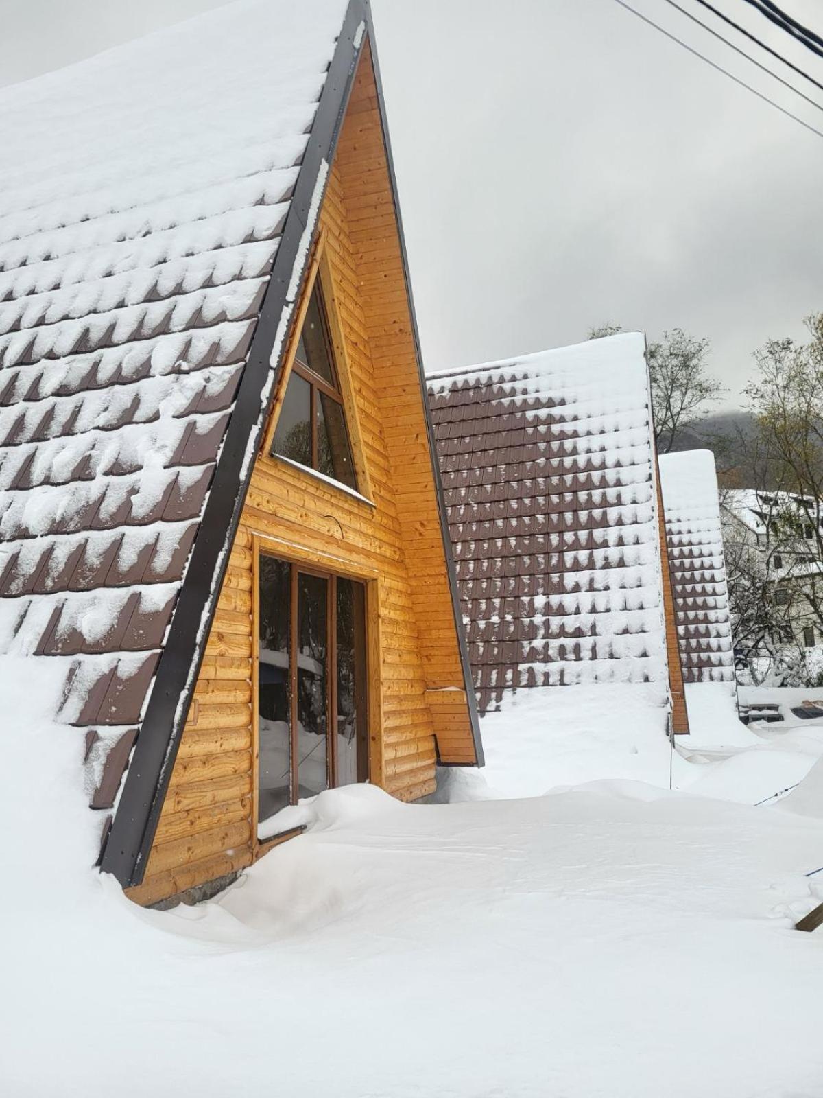 Brvnare Todorovic Vila Crni Vrh Exterior foto